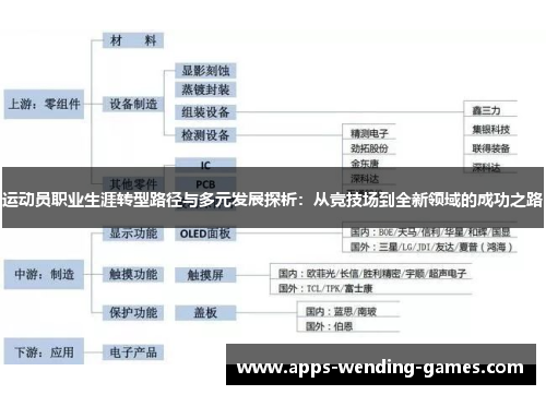 运动员职业生涯转型路径与多元发展探析：从竞技场到全新领域的成功之路