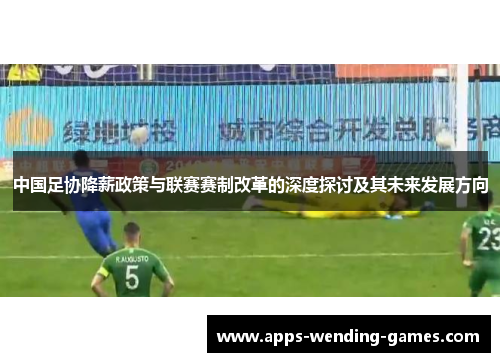 中国足协降薪政策与联赛赛制改革的深度探讨及其未来发展方向