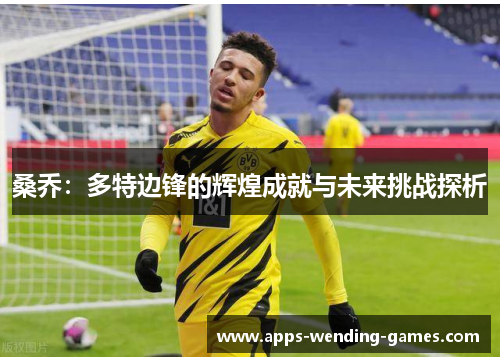 桑乔：多特边锋的辉煌成就与未来挑战探析
