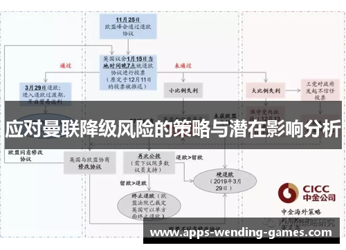 应对曼联降级风险的策略与潜在影响分析