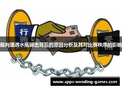 裁判遭遇水瓶砸击背后的原因分析及其对比赛秩序的影响