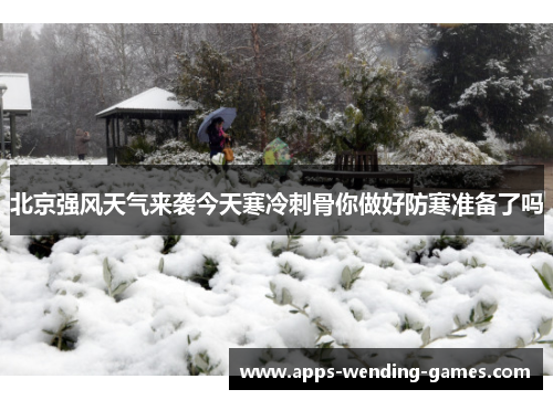北京强风天气来袭今天寒冷刺骨你做好防寒准备了吗