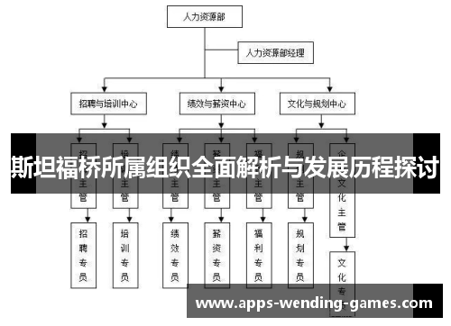斯坦福桥所属组织全面解析与发展历程探讨