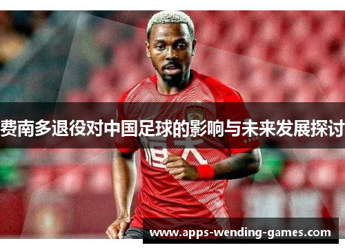 费南多退役对中国足球的影响与未来发展探讨