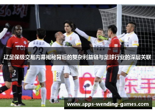 辽足保级交易内幕揭秘背后的复杂利益链与足球行业的深层关联
