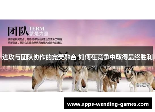 进攻与团队协作的完美融合 如何在竞争中取得最终胜利