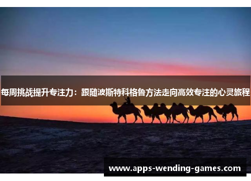 每周挑战提升专注力：跟随波斯特科格鲁方法走向高效专注的心灵旅程