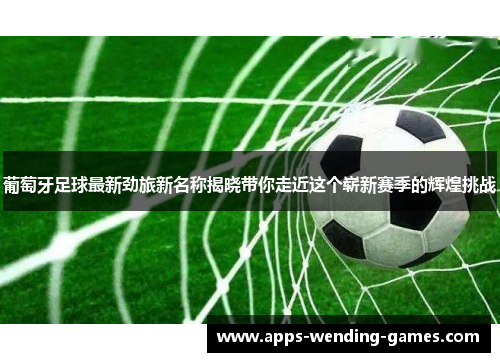 葡萄牙足球最新劲旅新名称揭晓带你走近这个崭新赛季的辉煌挑战