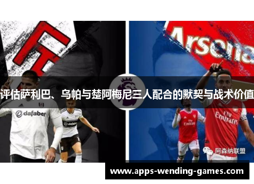 评估萨利巴、乌帕与楚阿梅尼三人配合的默契与战术价值