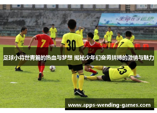 足球小将世青篇的热血与梦想 揭秘少年们奋勇拼搏的激情与魅力 足球小将世青篇的热血与梦想 揭秘少年们奋勇拼搏的激情与魅力